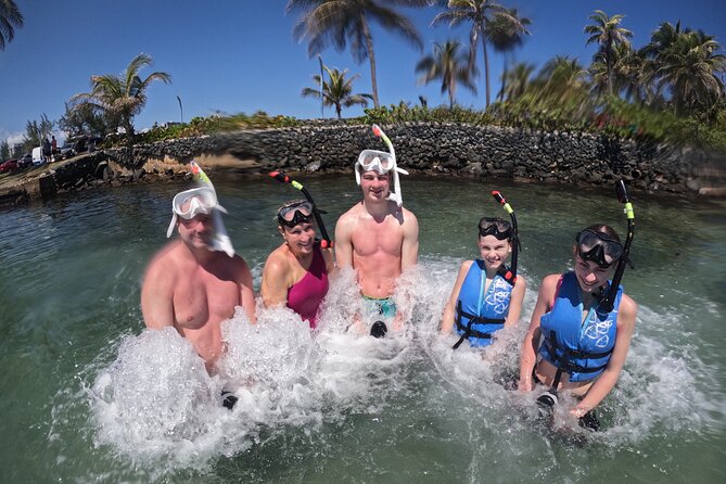 Puerto Rico Jet Snorkel with Turtles and Videos in San Juan - Weather, sargassum, and visibility: plan for a variable ocean