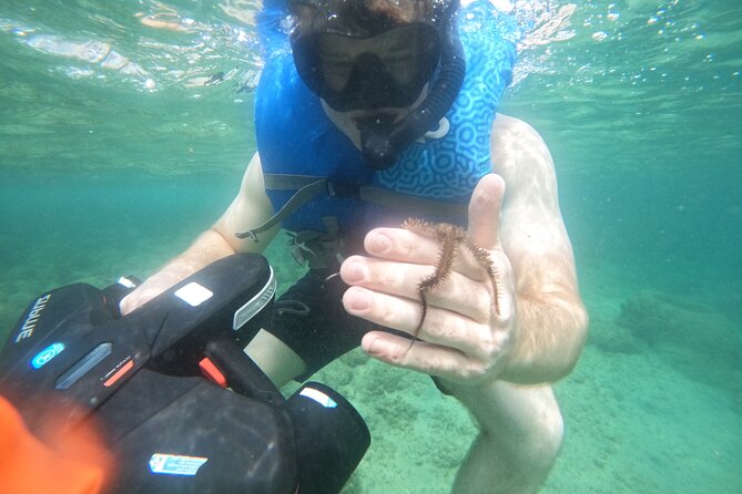 Puerto Rico Jet Snorkel with Turtles and Videos in San Juan - What you’ll actually do in the water (step-by-step)