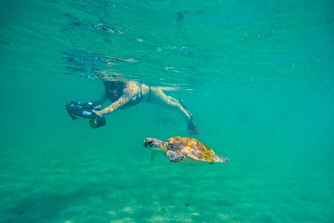 Puerto Rico Jet Snorkel with Turtles and Videos in San Juan - How the jet-snorkel works so you don’t overthink it