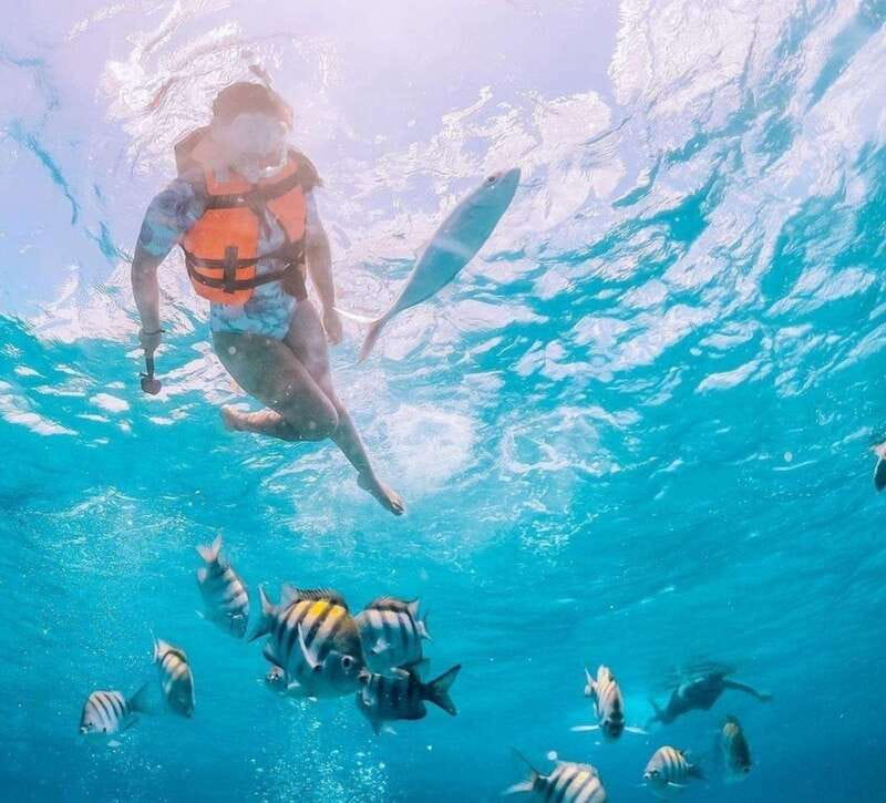 Puerto Vallarta: Los Arcos Islands Boat Tour and Snorkeling - Snorkeling at Los Arcos: what you should expect to see