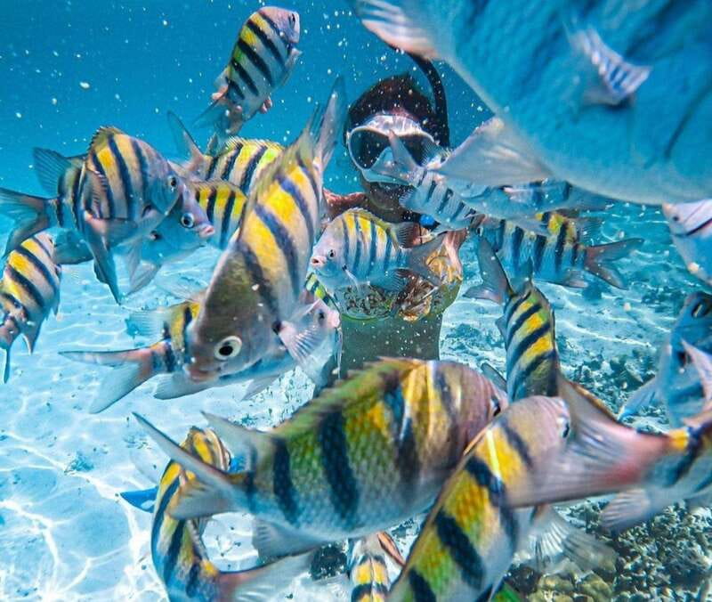 Puerto Vallarta: Los Arcos Islands Boat Tour and Snorkeling - The meeting point in Zona Romántica and the bus ride to Mismaloya
