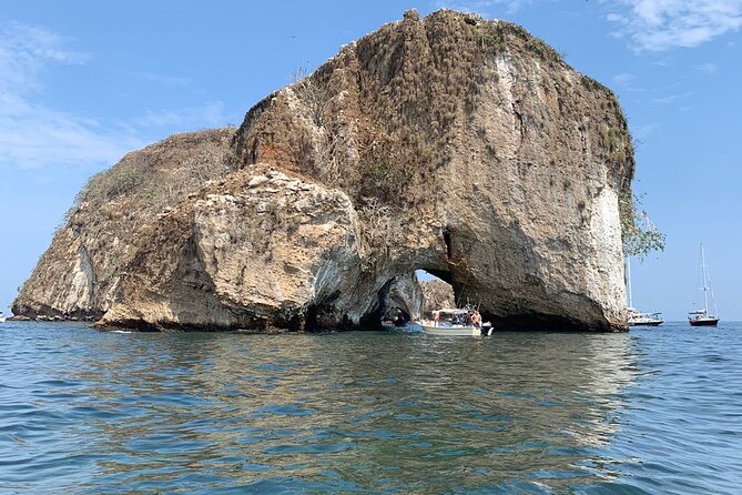 Puerto Vallarta snorkel tour at Los Arcos - Weather, jellyfish, and visibility: the reality check you should plan for