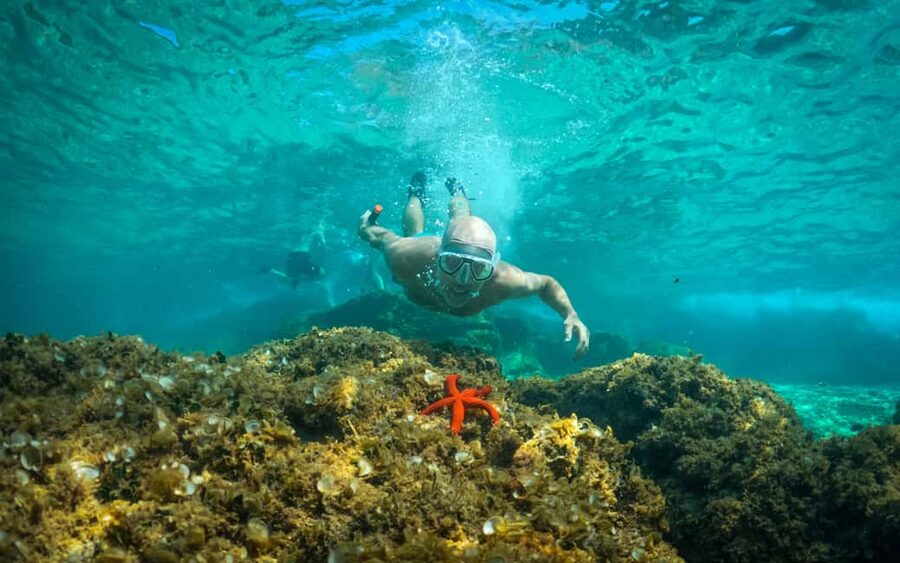 Pula: Kayaking,Snorkeling, Cliff jumping Tour with Wetsuit - Key things to know before you paddle