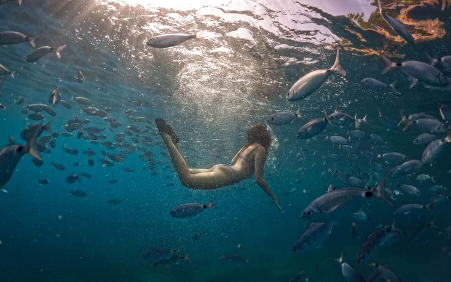 Pula: Kayaking,Snorkeling, Cliff jumping Tour with Wetsuit - Who should book this, and who should skip it