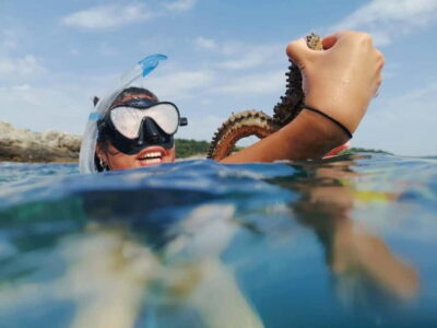 Pula: Sea Adventure – Boat, Kayak, Snorkeling & Cliff Jumps - Muzil Peninsula Cliffs and Hidden Canyons by Sea