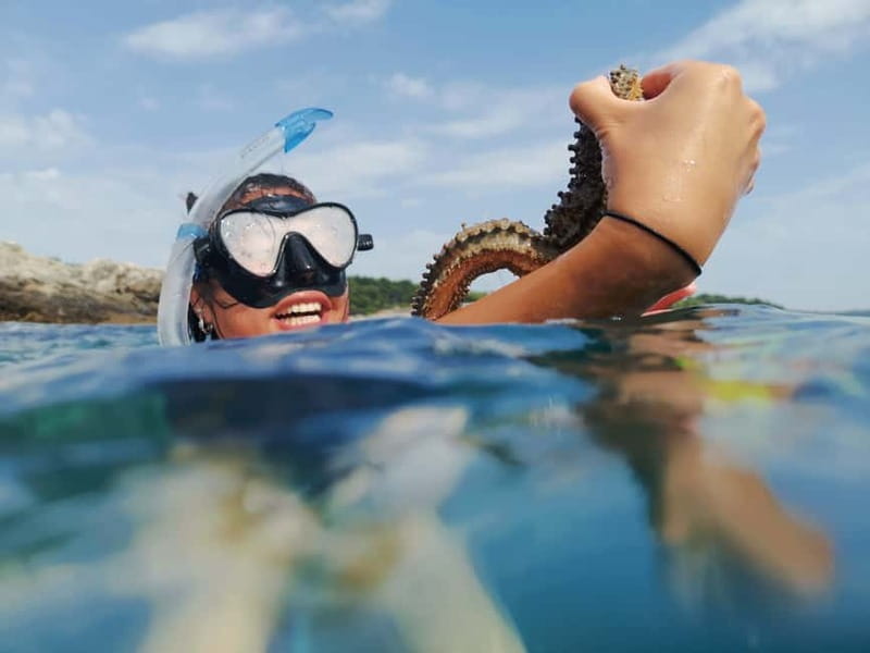 Pula: Sea Adventure – Boat, Kayak, Snorkeling & Cliff Jumps - Muzil Peninsula Cliffs and Hidden Canyons by Sea