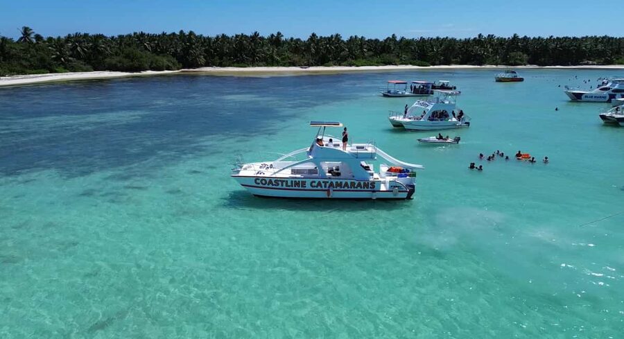 Punta Cana: Catamaran Tour with Reef Snorkeling and Open Bar - Should You Book This Punta Cana Catamaran Tour?