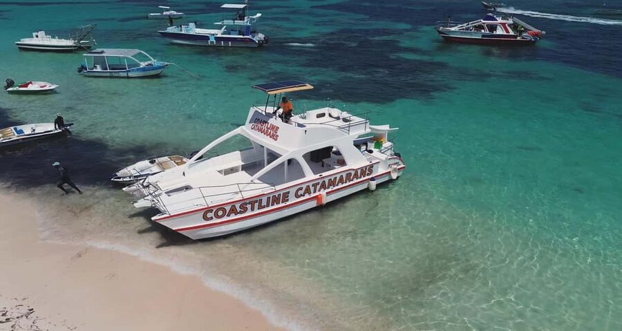 Punta Cana: Catamaran Tour with Reef Snorkeling and Open Bar - On Board: Open Bar, Snacks, and the Slide Factor