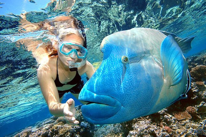 Punta Cana Combo Tour: Snorkeling, Catamaran Cruise & Parasailing - Key Moments Worth Planning For