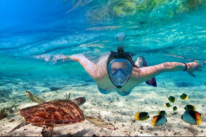 Punta Cana Combo Tour: Snorkeling, Catamaran Cruise & Parasailing - Snorkeling Around the 2–4 Meter Zone: How to Get Good Water Time