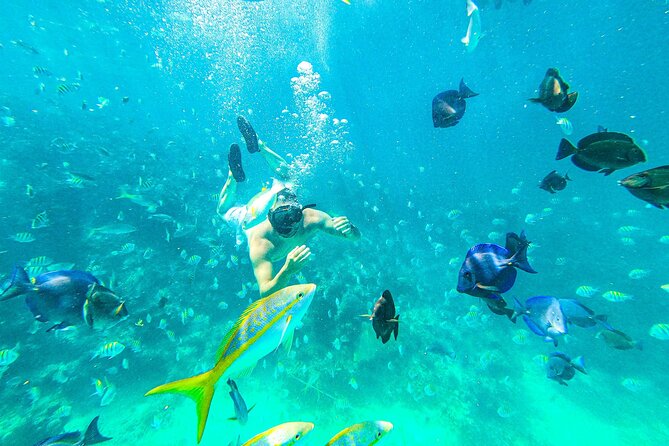 Punta Cana Exclusive Adults-Only Snorkel with Food and Drinks - Key points before you go