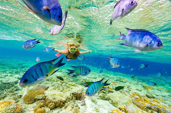 Punta Cana Parasailing & Snorkeling Cruise Experience - Key Things You’ll Notice on This Cruise