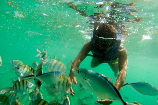 Punta Cana Party Boat Snorkeling with Music DJ and Open Bar - Price and Value: How $61.38 Adds Up (When It Works)
