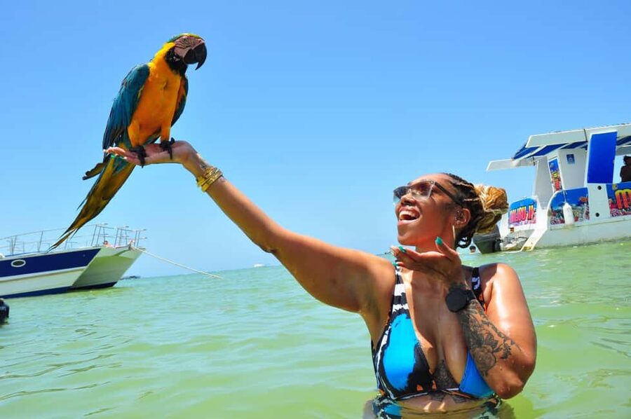 Punta Cana: Party Boat with Snorkeling, Open Bar And Hip Hop - The snorkeling stop: reef time, rules, and what to do right
