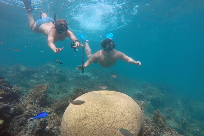 Punta Cana Private Cruise Up To 10 Snorkeling & Seafood lunch - Key Highlights Worth Knowing