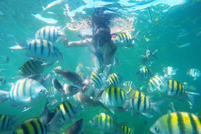 Punta Cana Private Cruise Up To 10 Snorkeling & Seafood lunch - A Private Catamaran Day in Punta Cana (That Actually Feels Private)