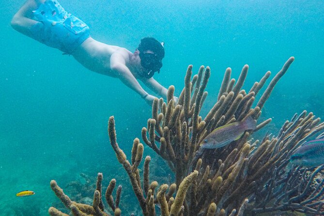 Punta Cana Private Cruise Up To 10 Snorkeling & Seafood lunch - The Crew and Guides: Where the Day Gets Fun