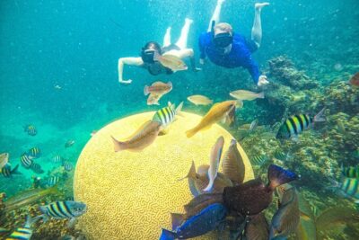 Punta Cana Private Cruise Up To 10 Snorkeling & Seafood lunch - Pickup, Timing, and Getting on the Water Smoothly