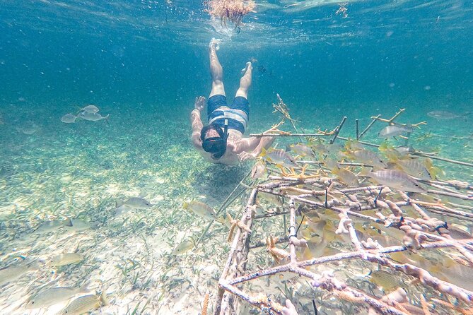 Punta Cana Private Cruise Up To 10 Snorkeling & Seafood lunch - Stop 3: Natural Pools with About 4 Feet of Water