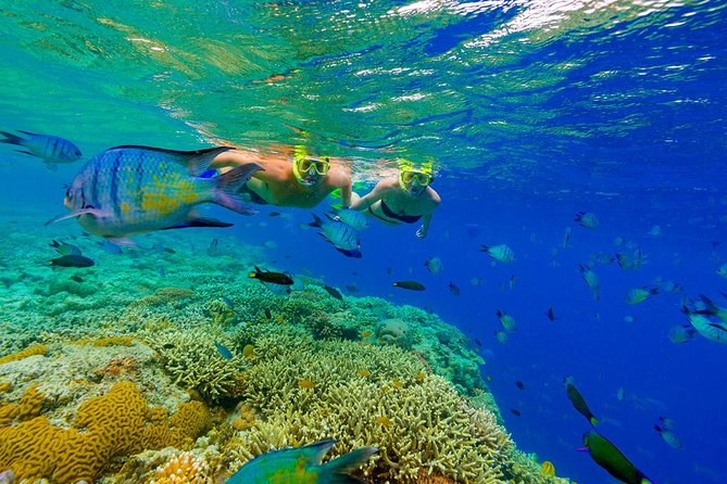 Punta Cana Snorkeling Cruise and Dune buggy Combo Adventure - Macao Beach: the white sand reset with Cape Macau views
