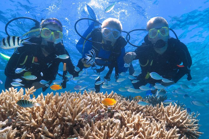 Quicksilver Great Barrier Reef Snorkel Cruise from Port Douglas - Scuba Sessions, Age Limits, and Health Checks