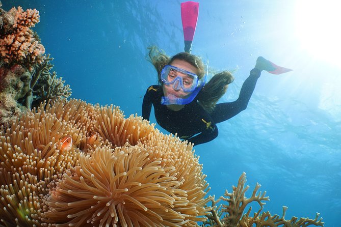 Quicksilver Great Barrier Reef Snorkel Cruise from Port Douglas - Sea Conditions, Crowds, and How to Have a Calm Day