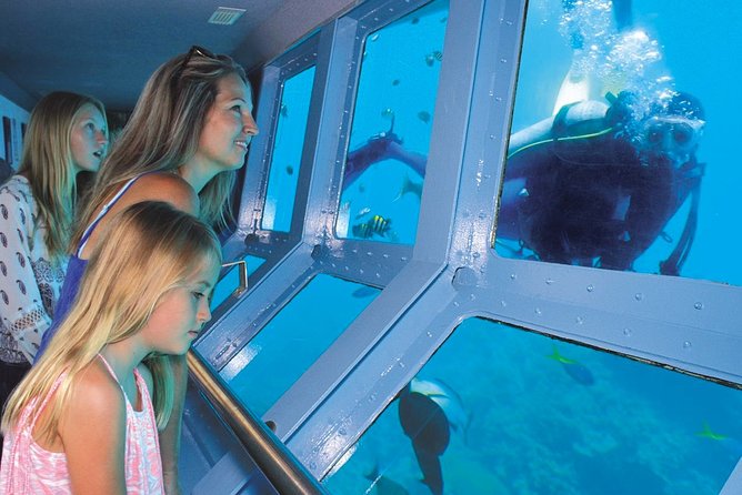 Quicksilver Great Barrier Reef Snorkel Cruise from Port Douglas - Semi-Submersible and Underwater Observatory for Dry Reef Time