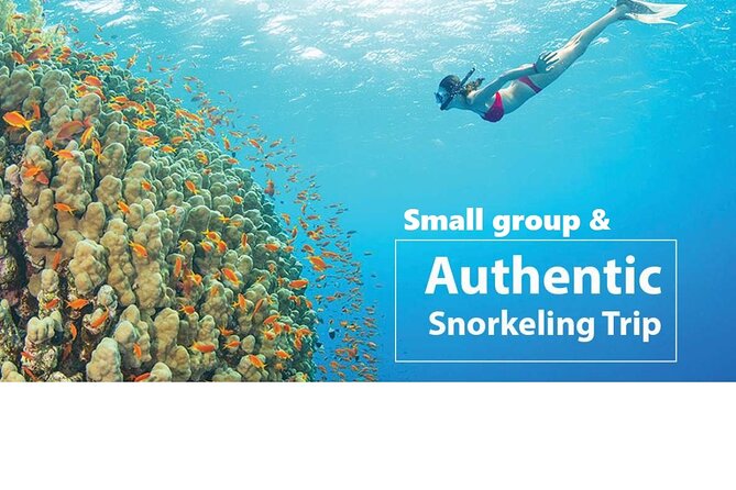 REAL snorkel &island hopping by SPEEDBOAT-EXPLORE CUISINES(MAX12) - Fast, fun, and a little bumpy: the speedboat experience