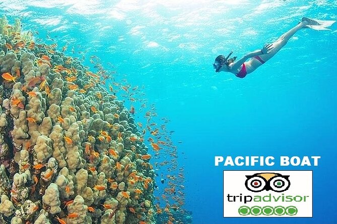 REAL snorkel &island hopping by SPEEDBOAT-EXPLORE CUISINES(MAX12) - Gear, comfort, and the small stuff that changes the day