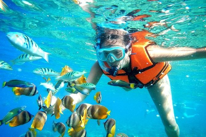 Reef Snorkeling in National Park from Cancun with Beachside Lunch - Cancun Pickup to Boquinete Lunch: The Half-Day Schedule