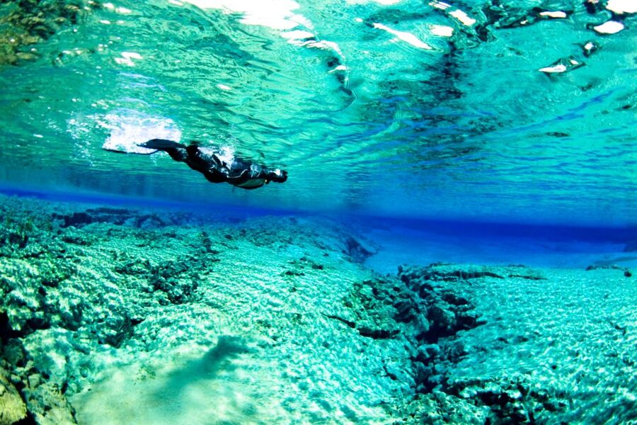 Reykjavík: Silfra Fissure Snorkeling and Lava Caving Tour - Price and value: why $202 can actually feel fair here