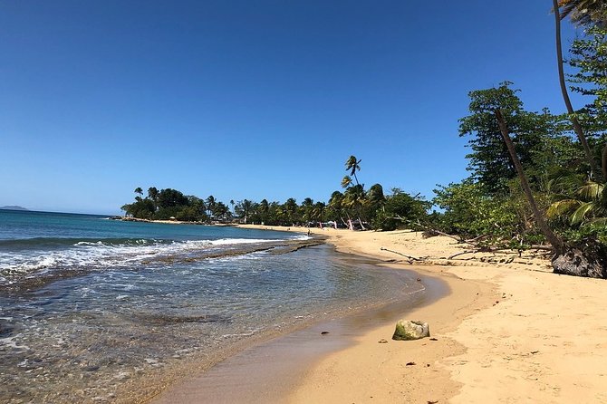 Rincon Snorkeling Adventure - Shore entry beats the boat: the quiet advantage