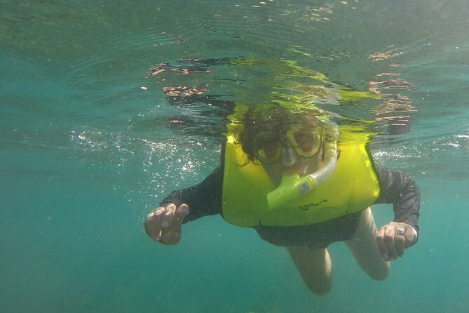 Rincon Snorkeling Adventure - Price and value: what $59 buys you in real terms