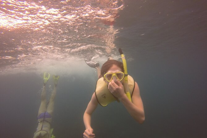 Rincon Snorkeling Adventure - Tips for the day so you enjoy the reef hour