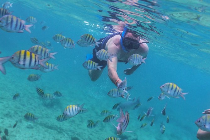 Riviera Maya Luxury Snorkeling Cruise with Lunch and Drinks - Crew Service and the Little Details That Make or Break It