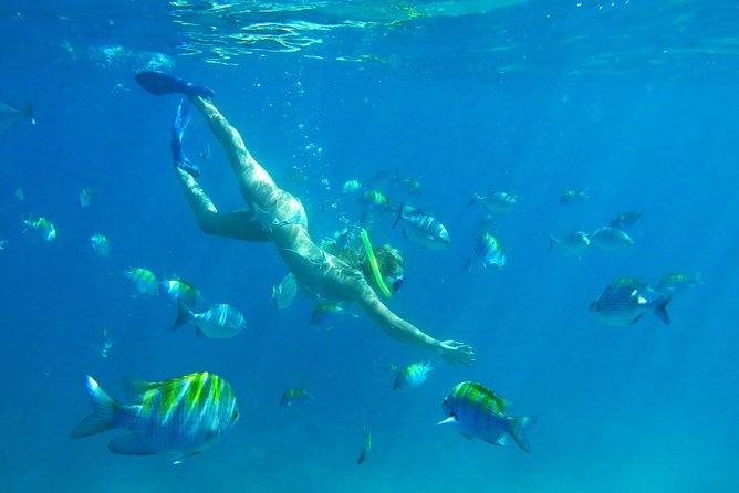 Riviera Maya Luxury Snorkeling Cruise with Lunch and Drinks - Price and Extras: Does $139 Buy You Enough?