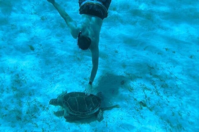 Rose Island Adventure: Snorkel, Sea Turtles, and Private Beach - What to bring (and what to skip) for a smoother day