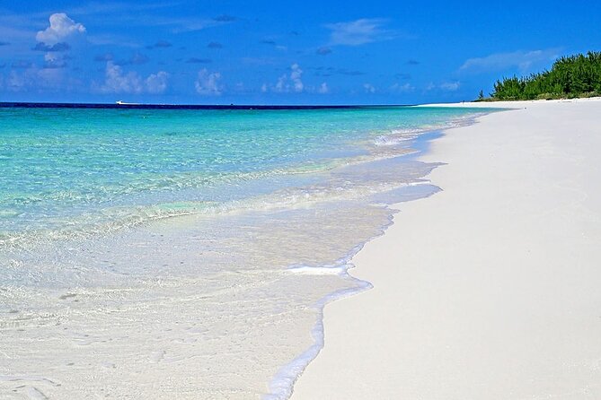 Rose Island Half-Day Snorkeling Cruise - Rose Island beach time: the part you’ll remember after the water