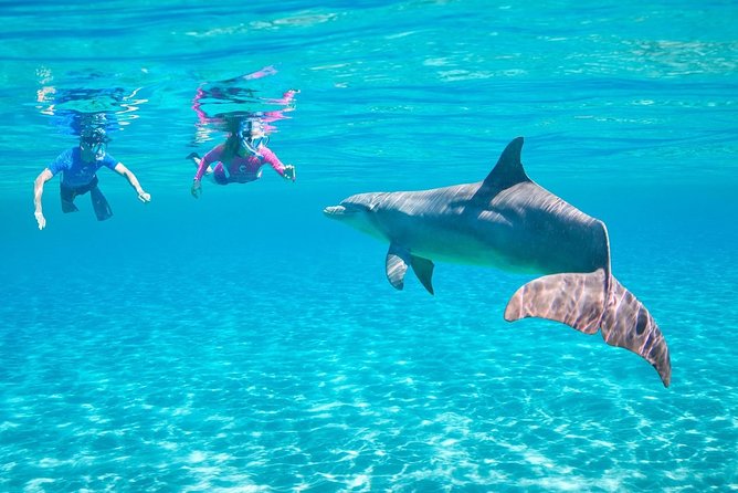 ROYAL Dolphin House & Water Sports Snorkeling Sea Trip - Hurghada - Key points before you go