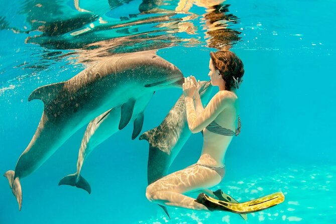 ROYAL Dolphin House & Water Sports Snorkeling Sea Trip - Hurghada - Hotel Pickup at 8:00 and How the Boat Day Actually Flows