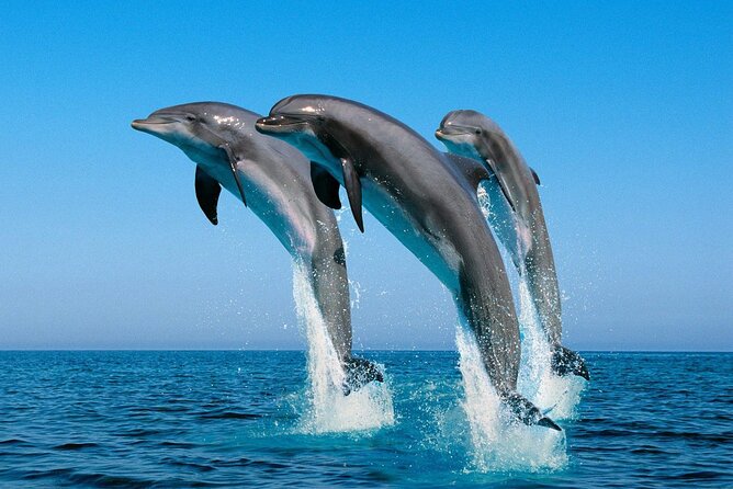 ROYAL Dolphin House & Water Sports Snorkeling Sea Trip - Hurghada - Water Sports and Adrenaline: When the Plan Gets Changed