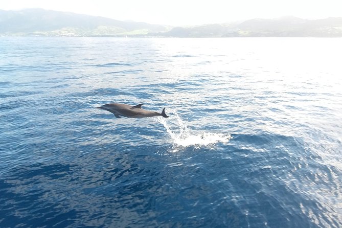 Sail/Snorkel Adventure from Sapphire Marina,STT NO CROWDS~ 6 GUEST MAX - The hosts matter: Captain Rob and Deb’s patient, hands-on style