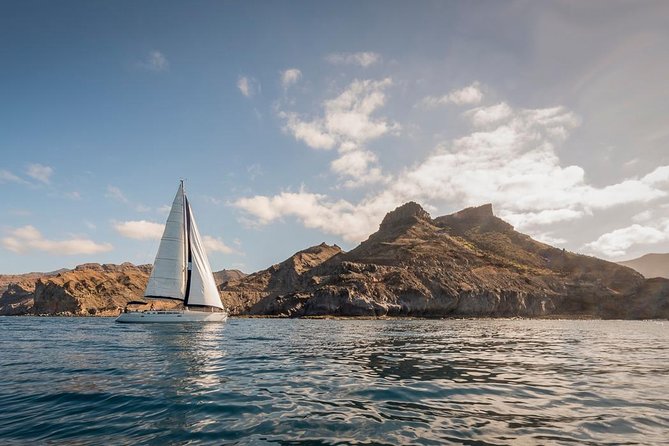 Sailing Trip and Snorkeling (max. 8 people) - Lunch, beer, wine, and soft drinks: included food that makes the price make sense