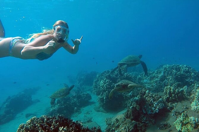 San Juan Guided Snorkel With Turtles Tour and Videos - The Best Part: Shore-Entry Snorkeling Plus a GoPro Memory
