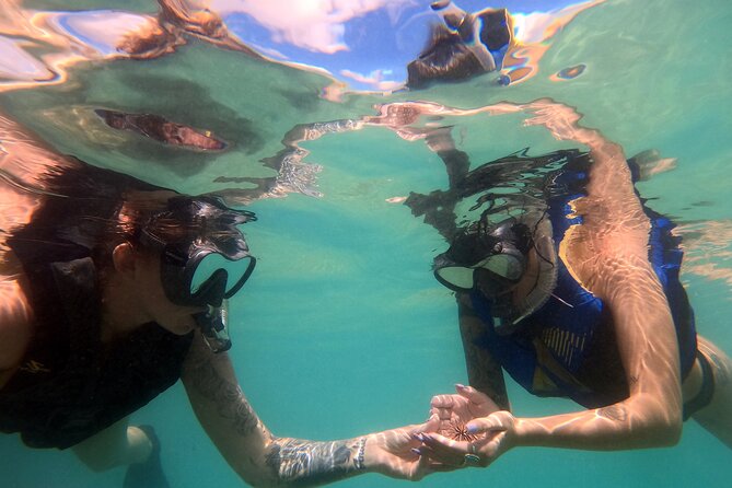 San Juan Guided Snorkel With Turtles Tour and Videos - Getting In: What the Escambron Beach Start Feels Like