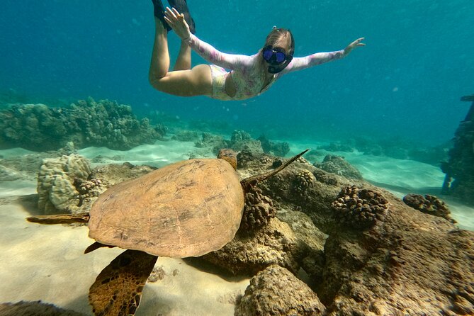 San Juan Guided Snorkel With Turtles Tour and Videos - What the Guides Actually Do Once You’re in the Water