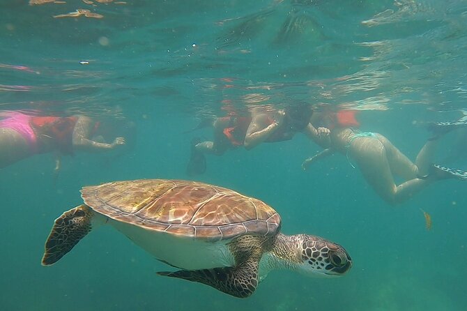San Juan: Snorkeling with Turtles Adventure and Free Videos - Guides make the difference: patient coaching and real storytelling