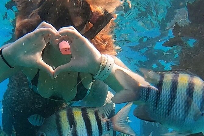 San Juan: Snorkeling with Turtles Adventure and Free Videos - Price and value: $45 for gear, guidance, and a video