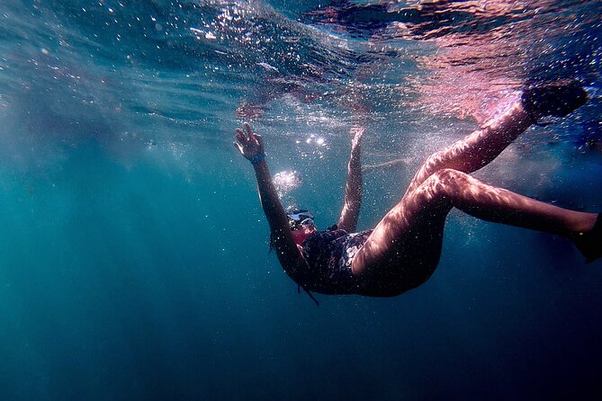 San Juan: Snorkeling with Turtles Adventure and Free Videos - The 90-minute rhythm: how the experience unfolds