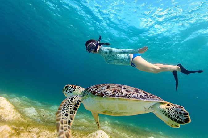 San Juan Turtle Spotting Snorkel Adventure with Videos - Balneario El Escambrón: comfort, crowds, and how weather changes the view